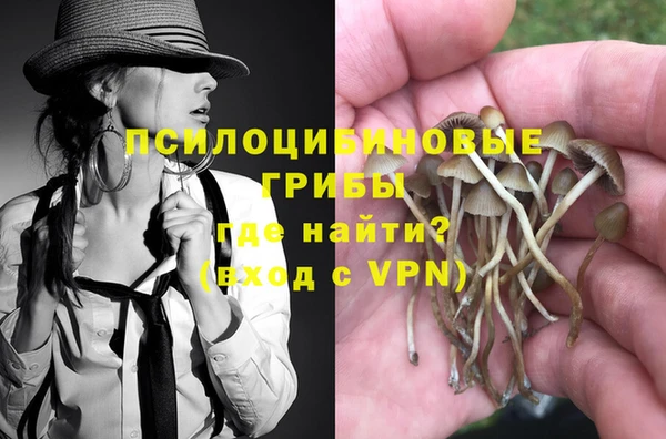 молекула духа Абинск