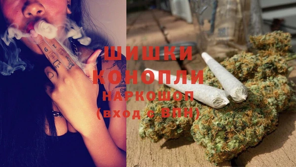 молекула духа Абинск