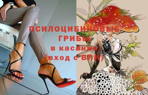 молекула духа Абинск