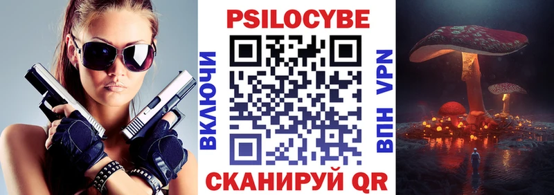 где продают   Северодвинск  Псилоцибиновые грибы GOLDEN TEACHER 
